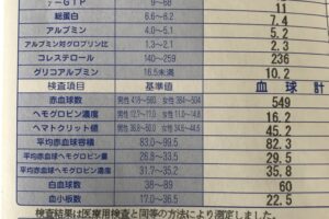 献血。血液検査結果。令和4年10月