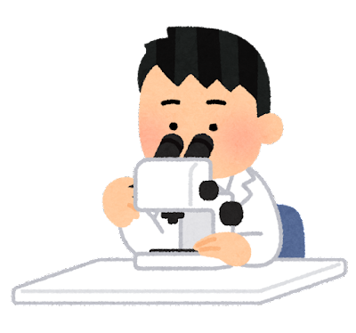 実体顕微鏡を使う人のイラスト（男性）